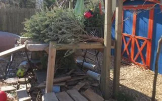 This is where the trees are headed. To a pile of trees because one tree is not enough for a pile, you need at least five trees.