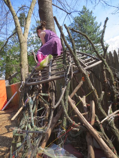 “This held up with yarn and ribbon. It has a lot of branches pointing up and turned out. Like this one or this one. Which way did you climb up? This cross-branch looks looser than the rest. If you come down this way, will it hold you up? The structure looks like it is leaning against this tree. Does one side seem tippier?”