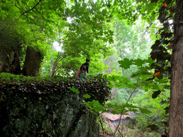 Climbing Rocko Obama. A year after their discovery of this giant, split boulder perched over the deer path so much has been learned. Rather than walking directly to the edge, they tested its surface by crawling and then slowly standing. Win!