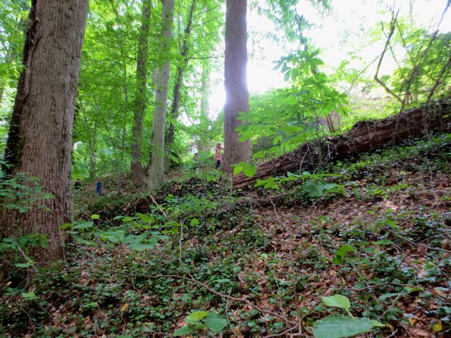The children, high up on the deer path, stop to make eye contact with me as they cut along the ridge. Can you see them?