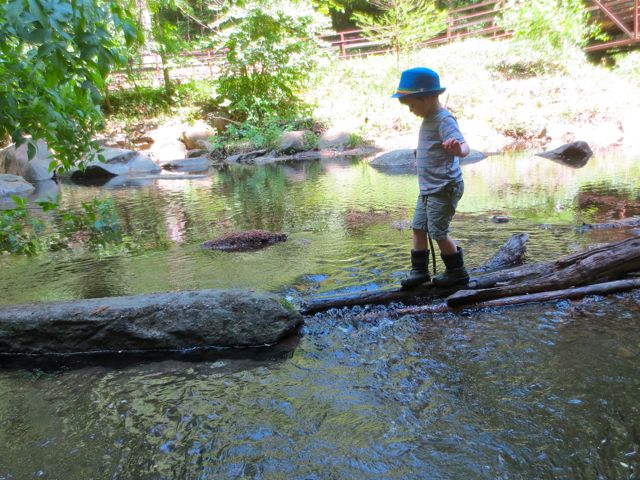 Using a stick to help balance across the log/branch bridge. Win!