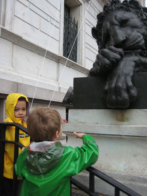 The resting lion. Close enough to touch and certainly close enough to talk to.