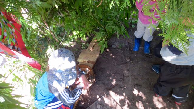 Children collect in a leafy shelter and immediately begin setting up a house.