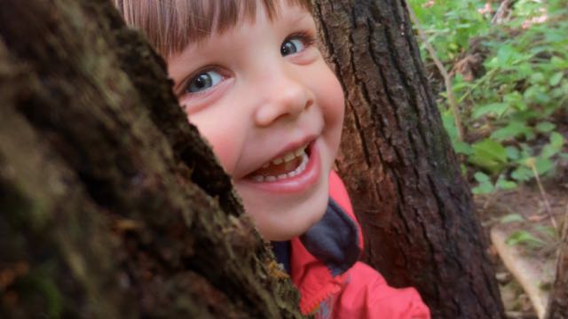 A tree frames the smiling face of one of the children from Lauko darželis.