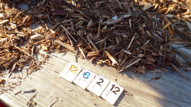 This one I know because I was told — The numbers tell the builders how deep to make the mulch pile — and that isn’t a mulch pile anyway — it is a carpet.