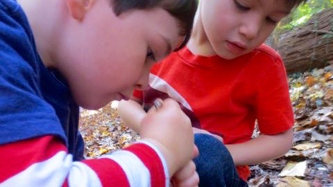 Digging a hole to plant a tree for the fairy house.