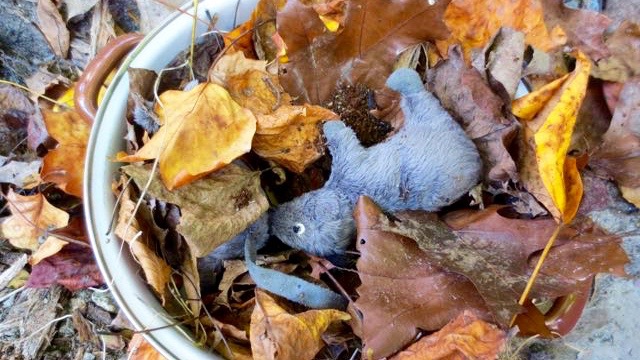Rat stew.