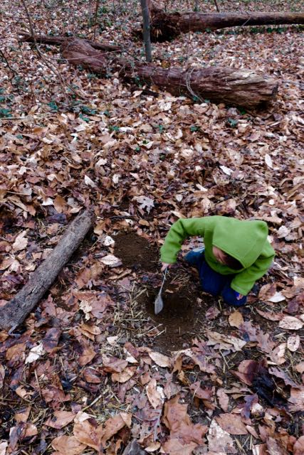 The squirrel den excavation. This is the dirt that is mixed with leaves to make the squirrel den's roof.