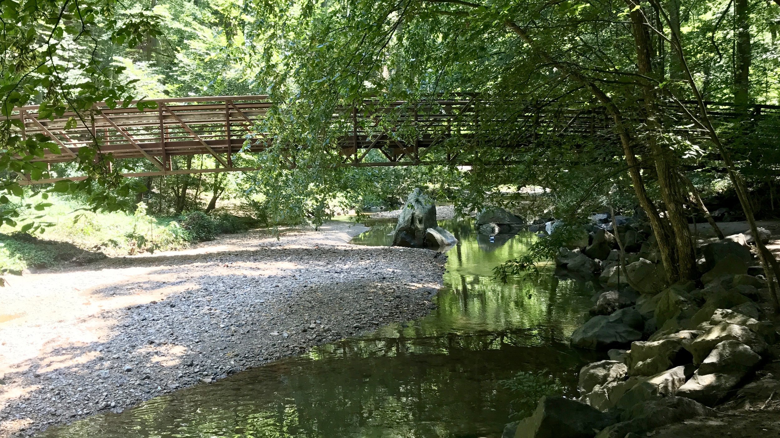 The flow of Sligo Creek now completely surrounds the Dragon Tooth Rock. The big storms of the Summer have washed the debris farther downstream.