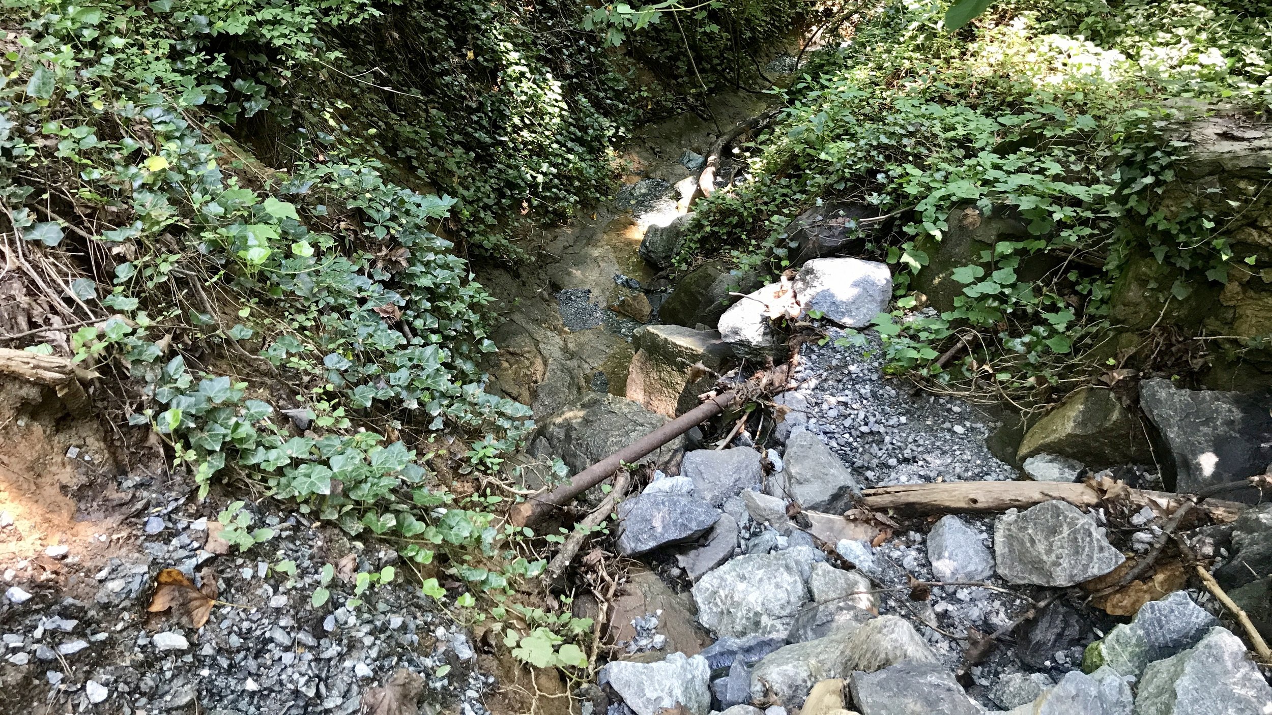 The Gray Rock ravine has the trickle of water!