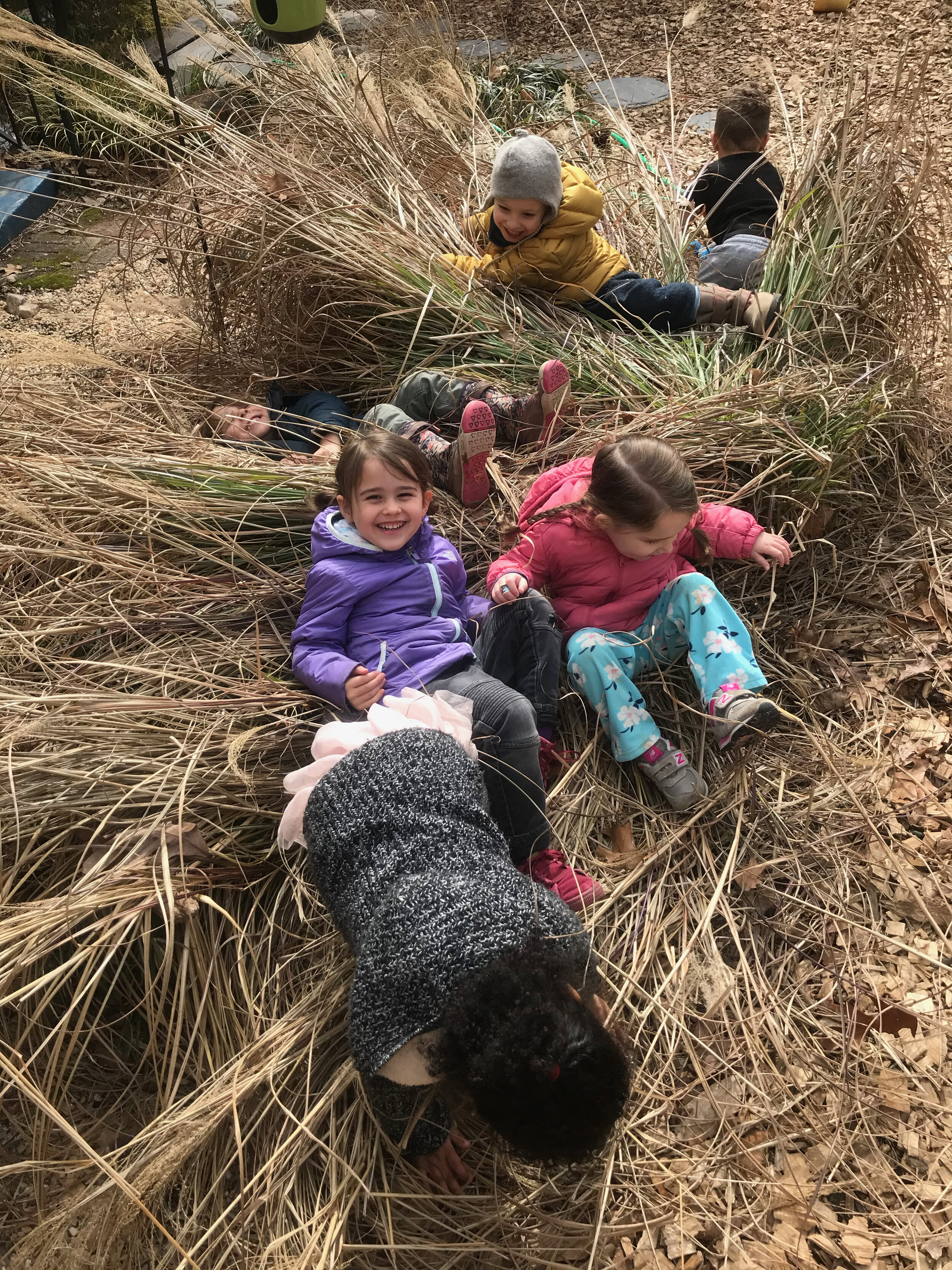 Day 49. February 18. The winter grass is the best trampoline.jpg