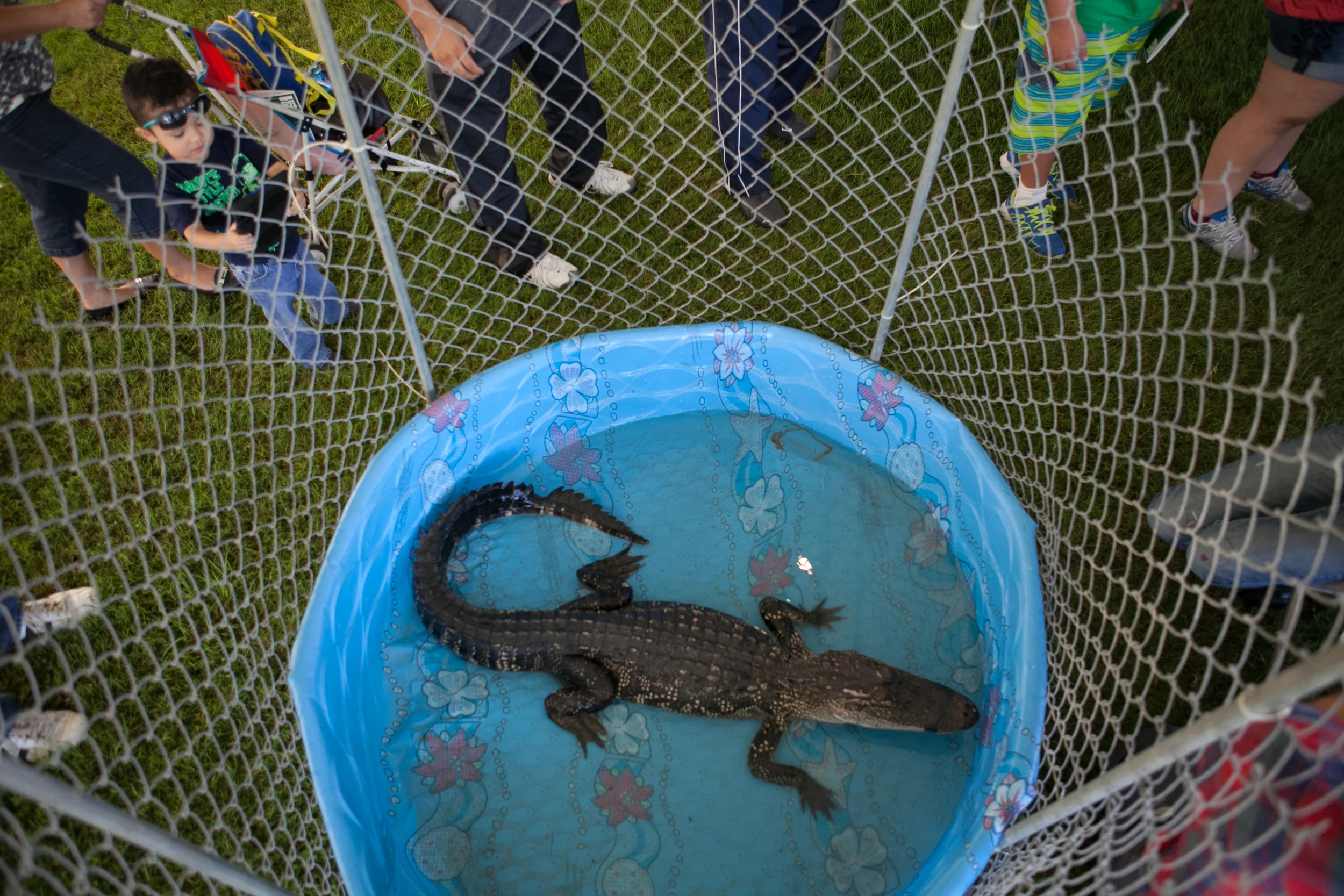 LBS-TexasGatorFest-Observer-10.jpg