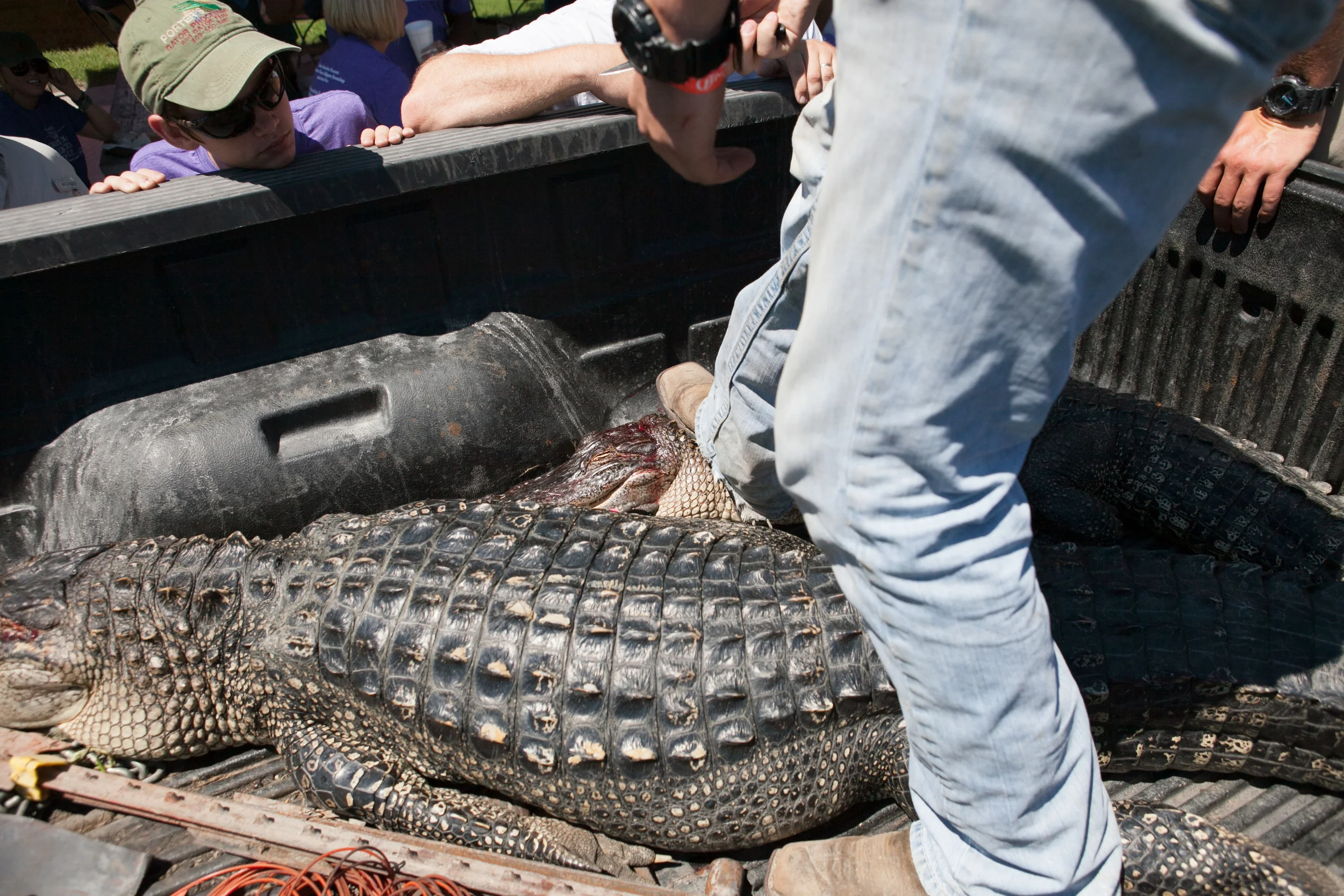 LBS-TexasGatorFest-Observer-16.jpg