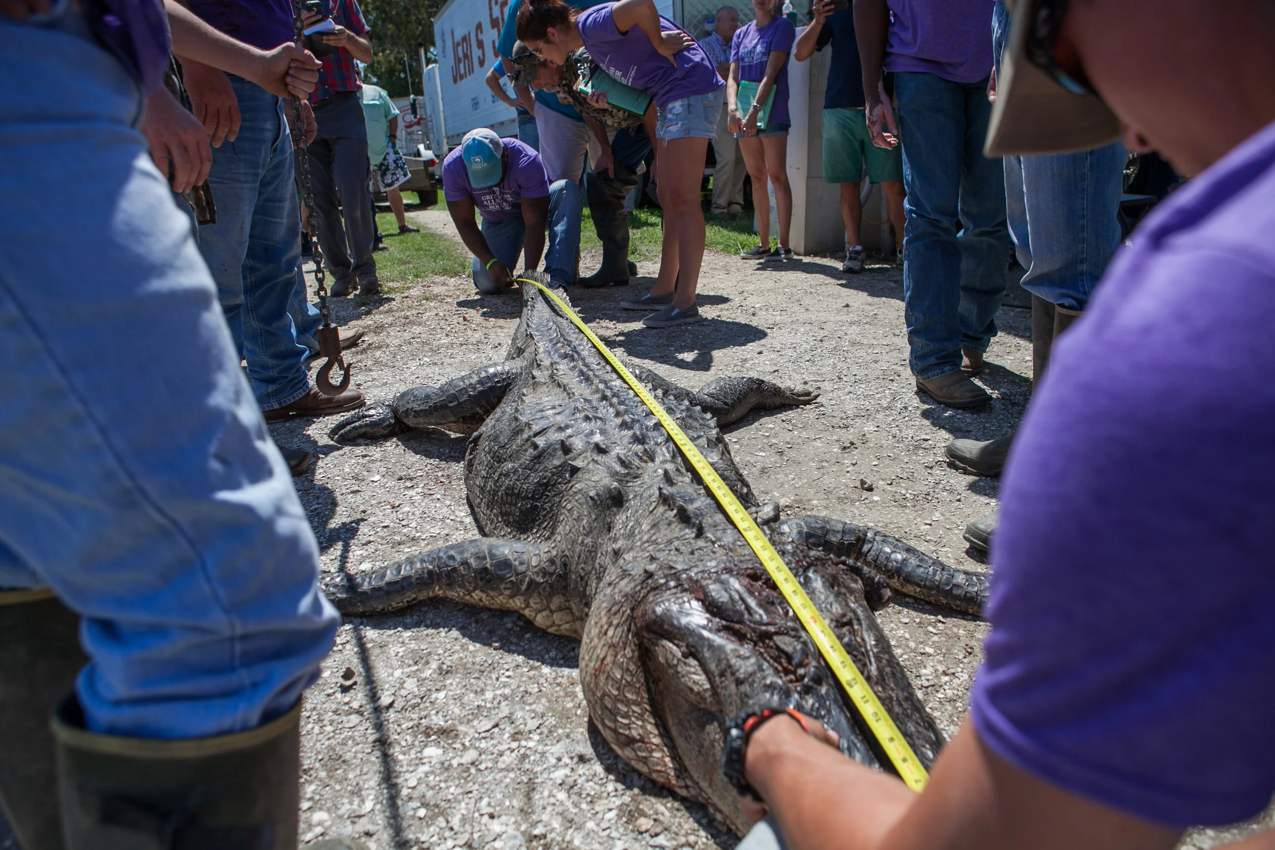 LBS-TexasGatorFest-Observer-21.jpg