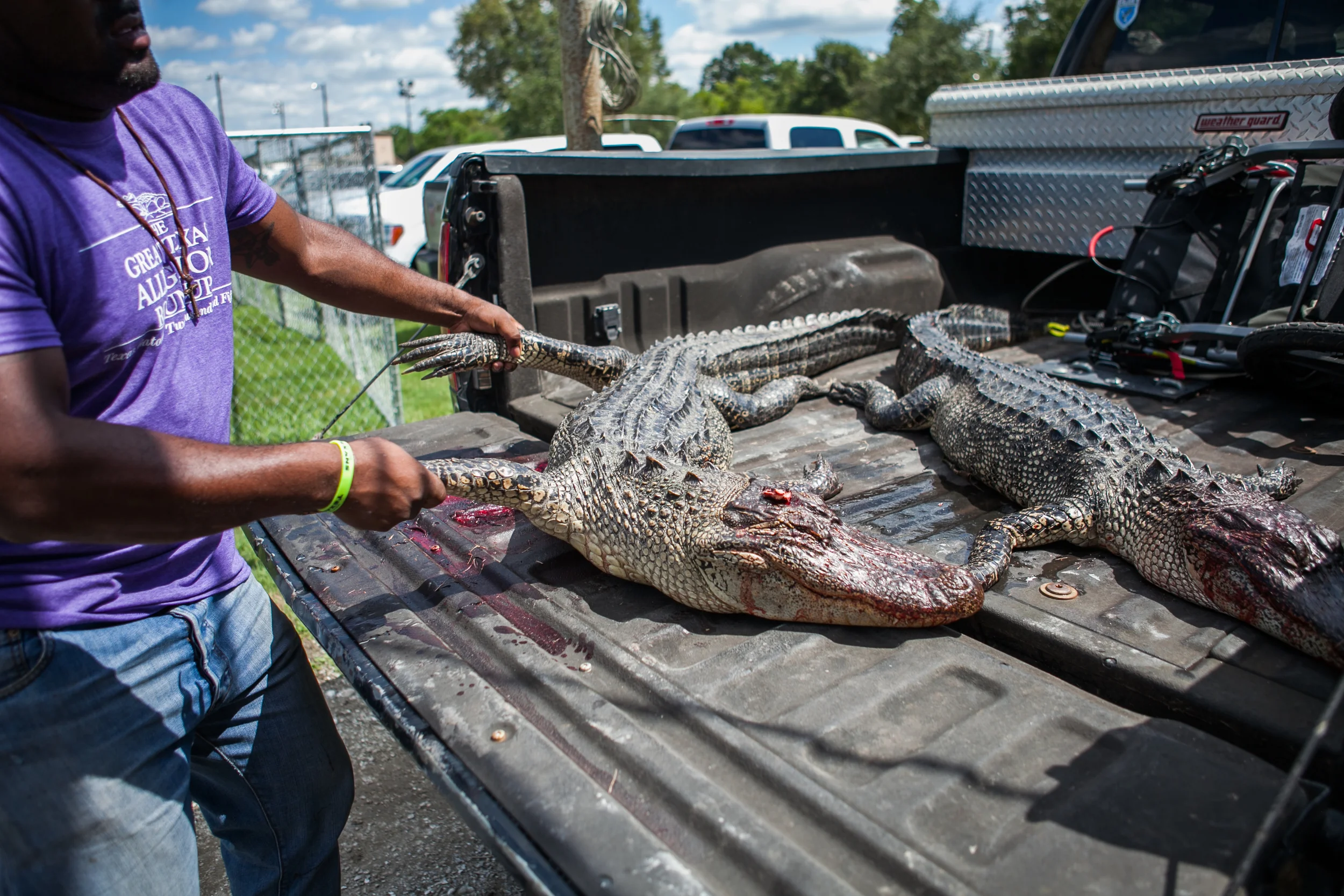 LBS-TexasGatorFest-Observer-26.jpg