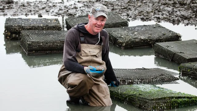 ‘Hand-crafting’ oysters in the Lynnhaven River