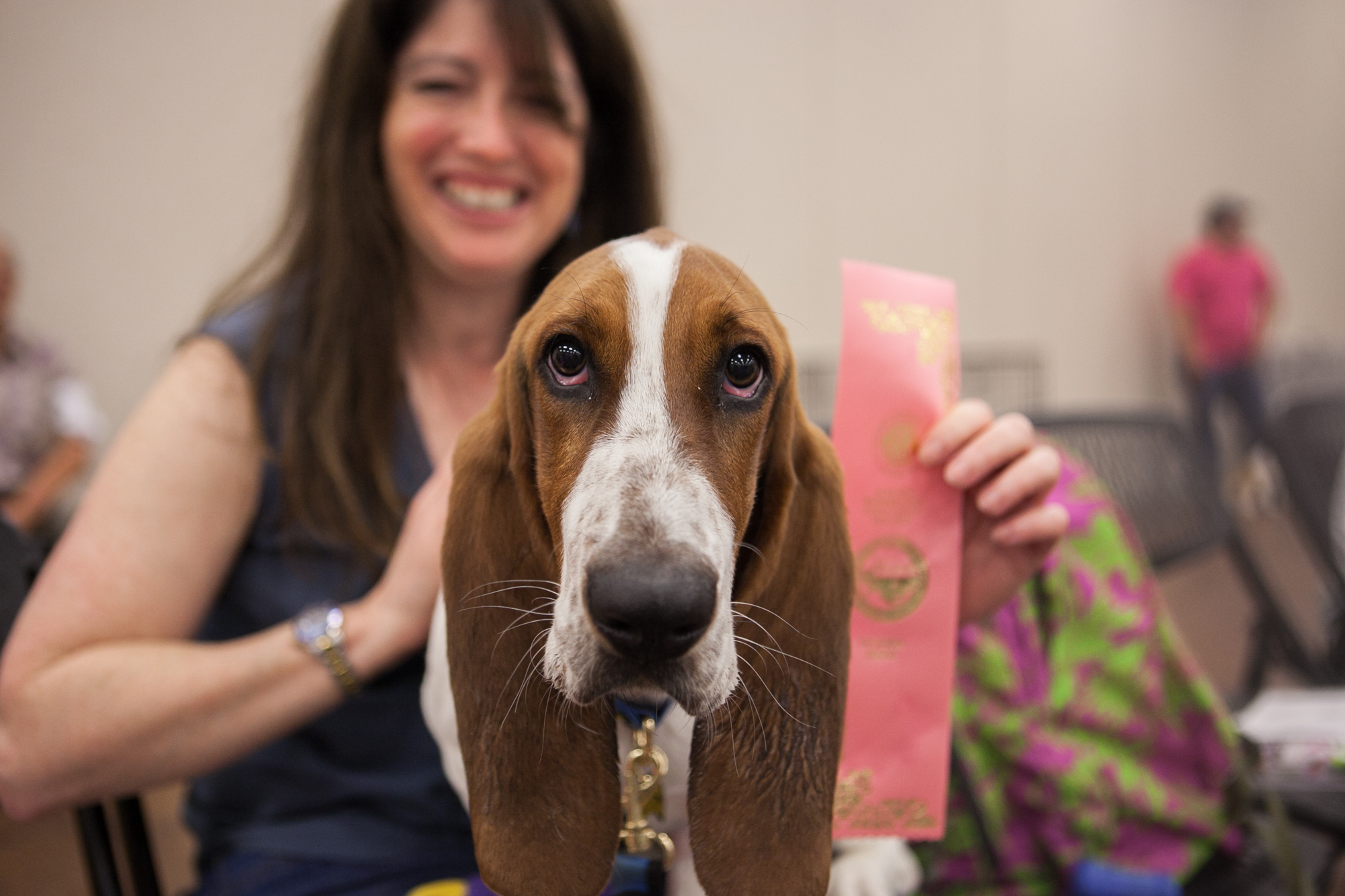 Dog_show_victoria_gallery_9.jpg