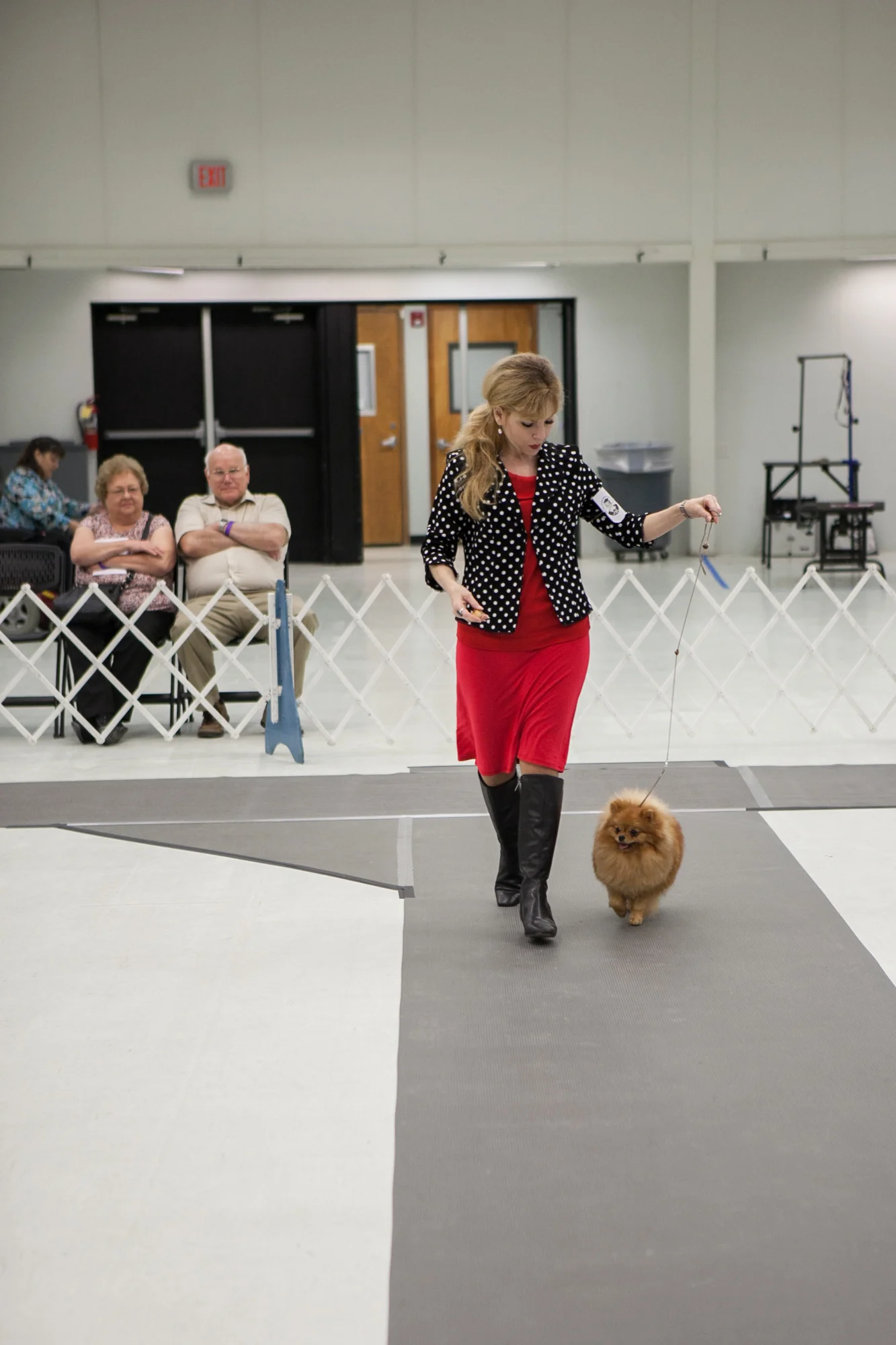 Dog_show_victoria_gallery_15.jpg