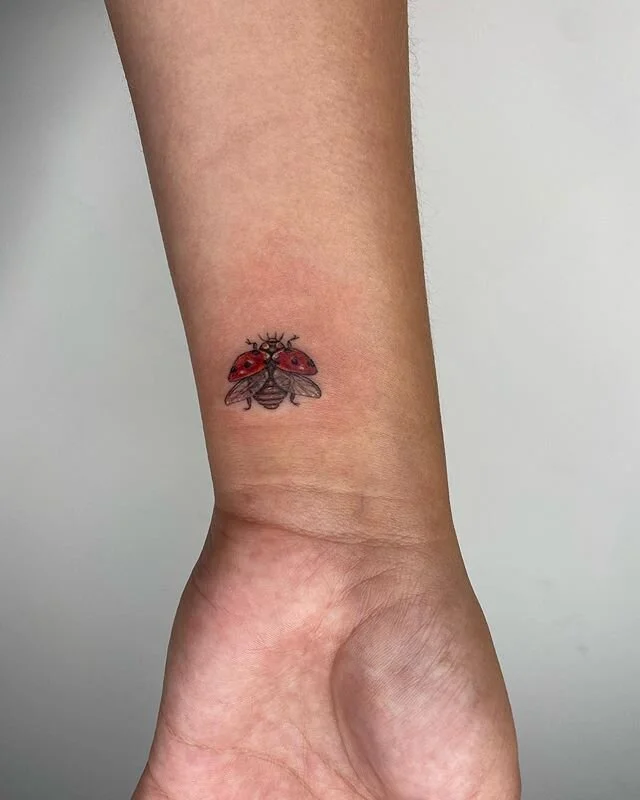 Ladybug by @sailorose_  MY FIRST TAT YALL @singletontattoo