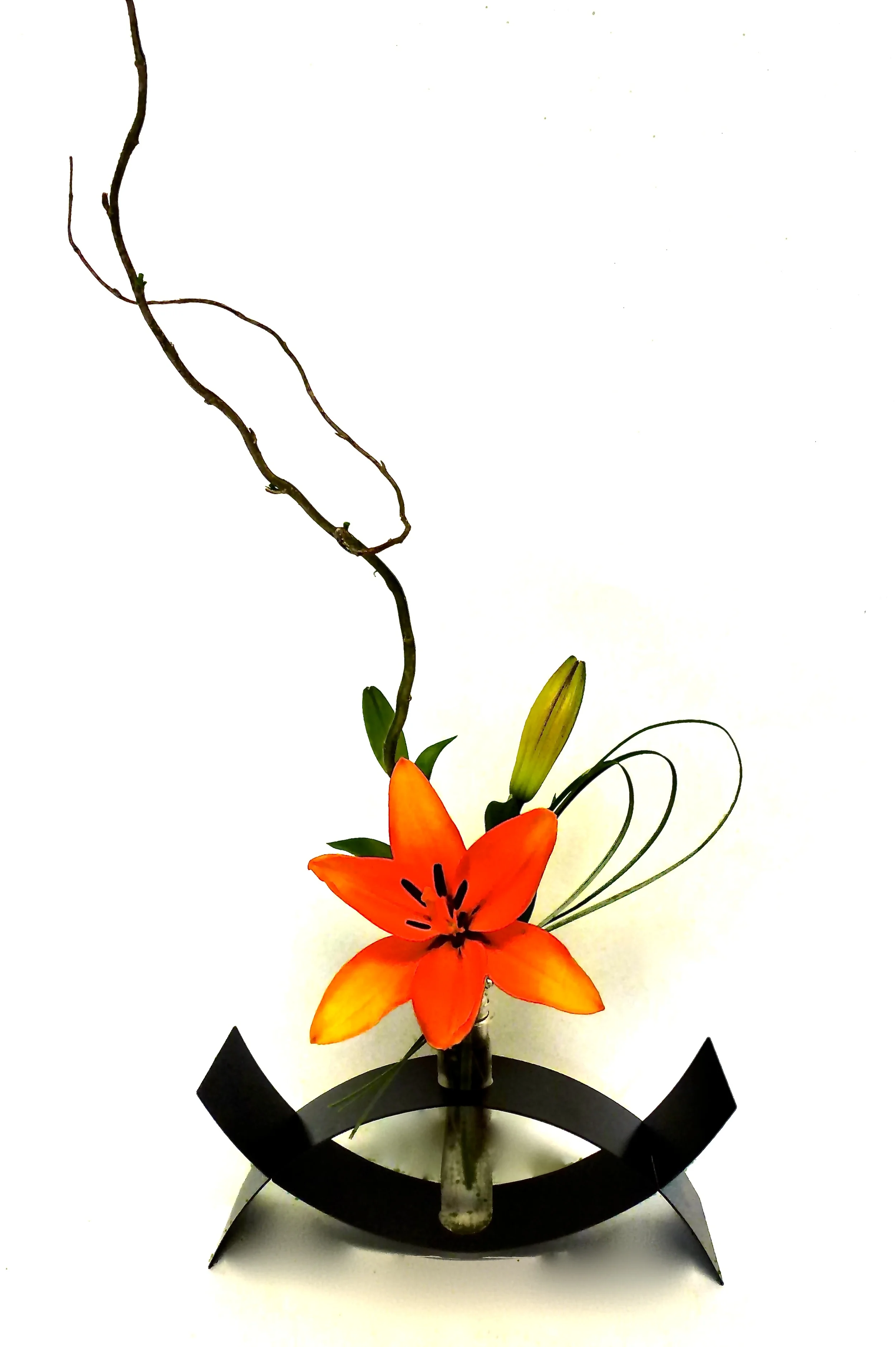 Orange Burst, $75 & up