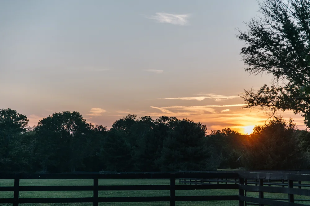 Emily Wren Wedding  - 111.jpg