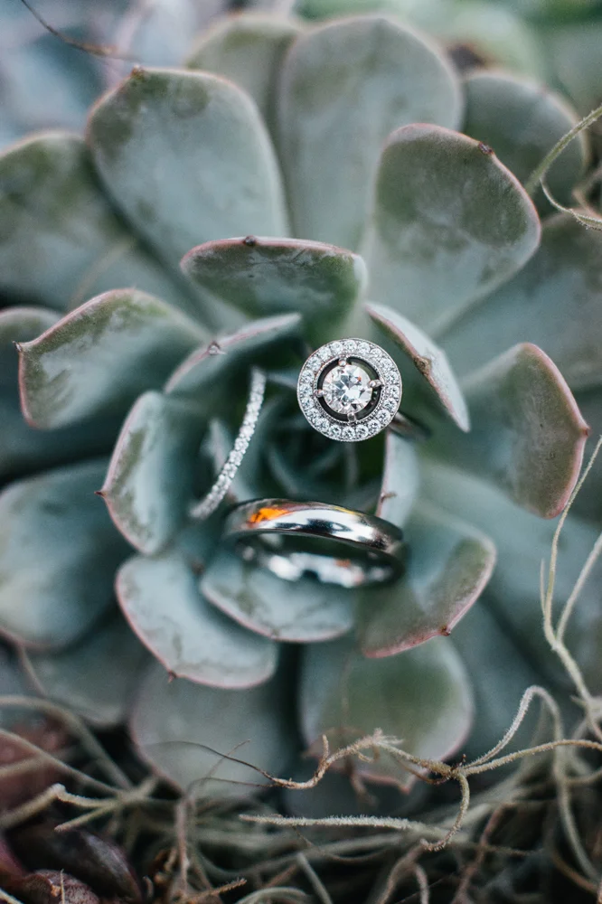 Emily Wren - Ceremony - 201.jpg
