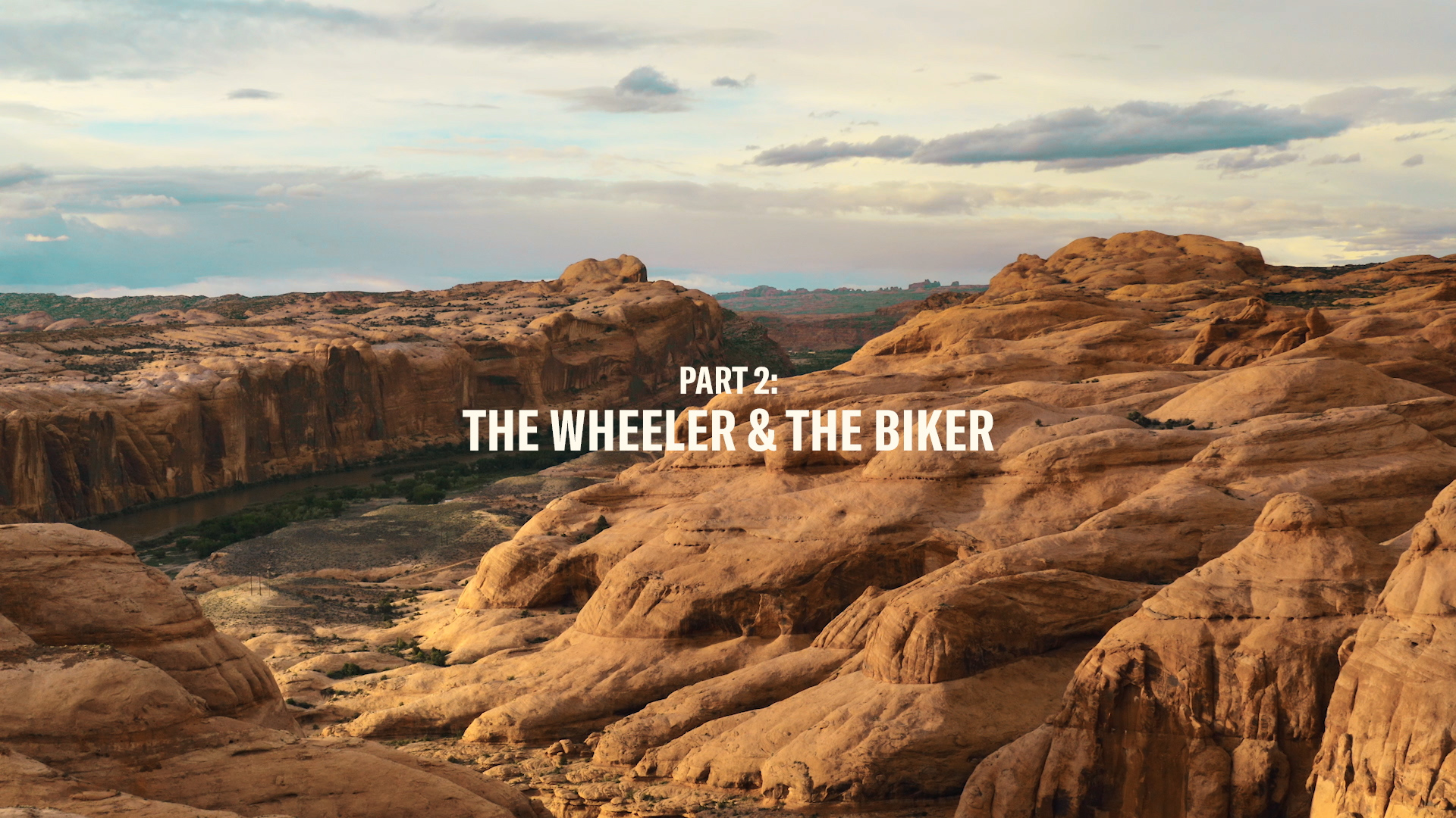 THE WHEELER &amp; THE BIKER