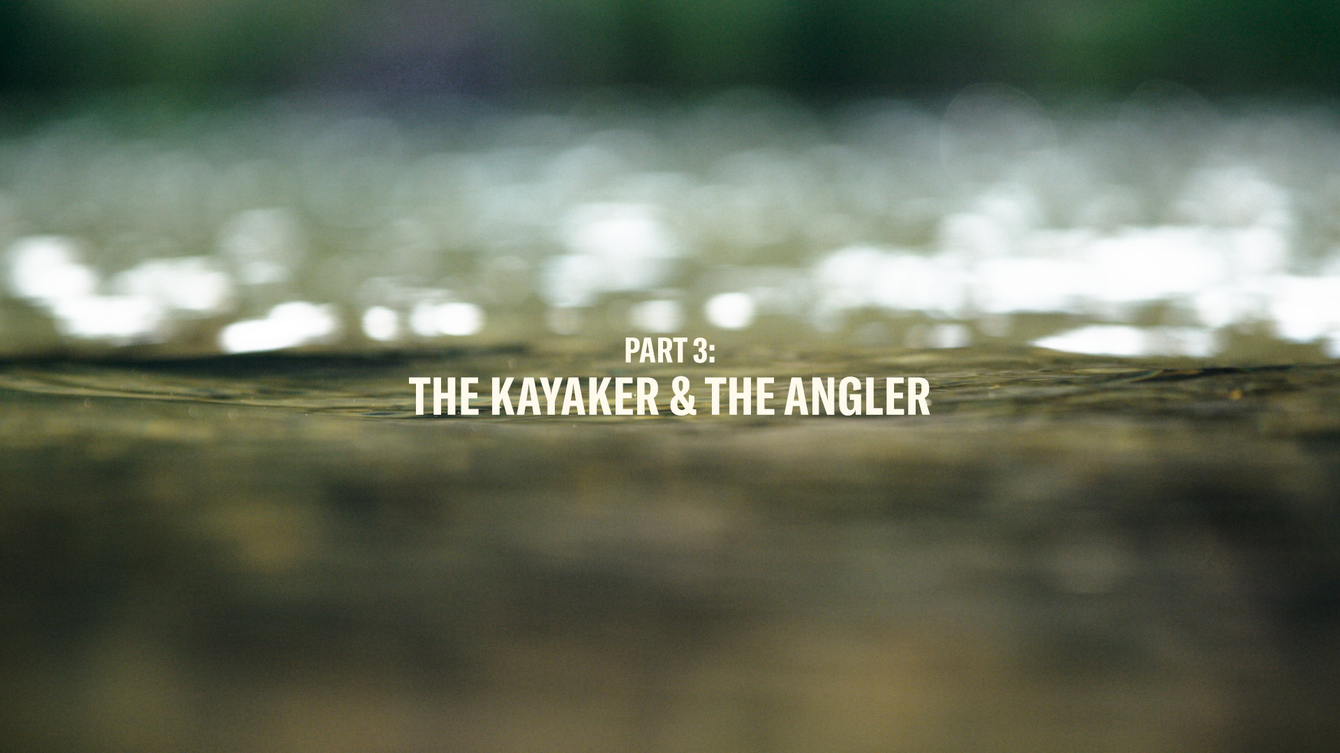 THE KAYAKER &amp; THE ANGLER