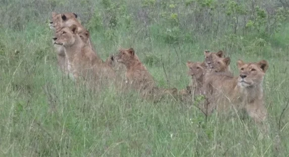 Kenya Part 7 – Highlights