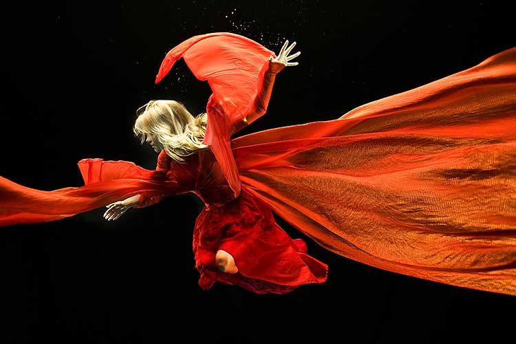  Photographed by   Zena Holloway  