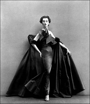 dovima perfection.jpg