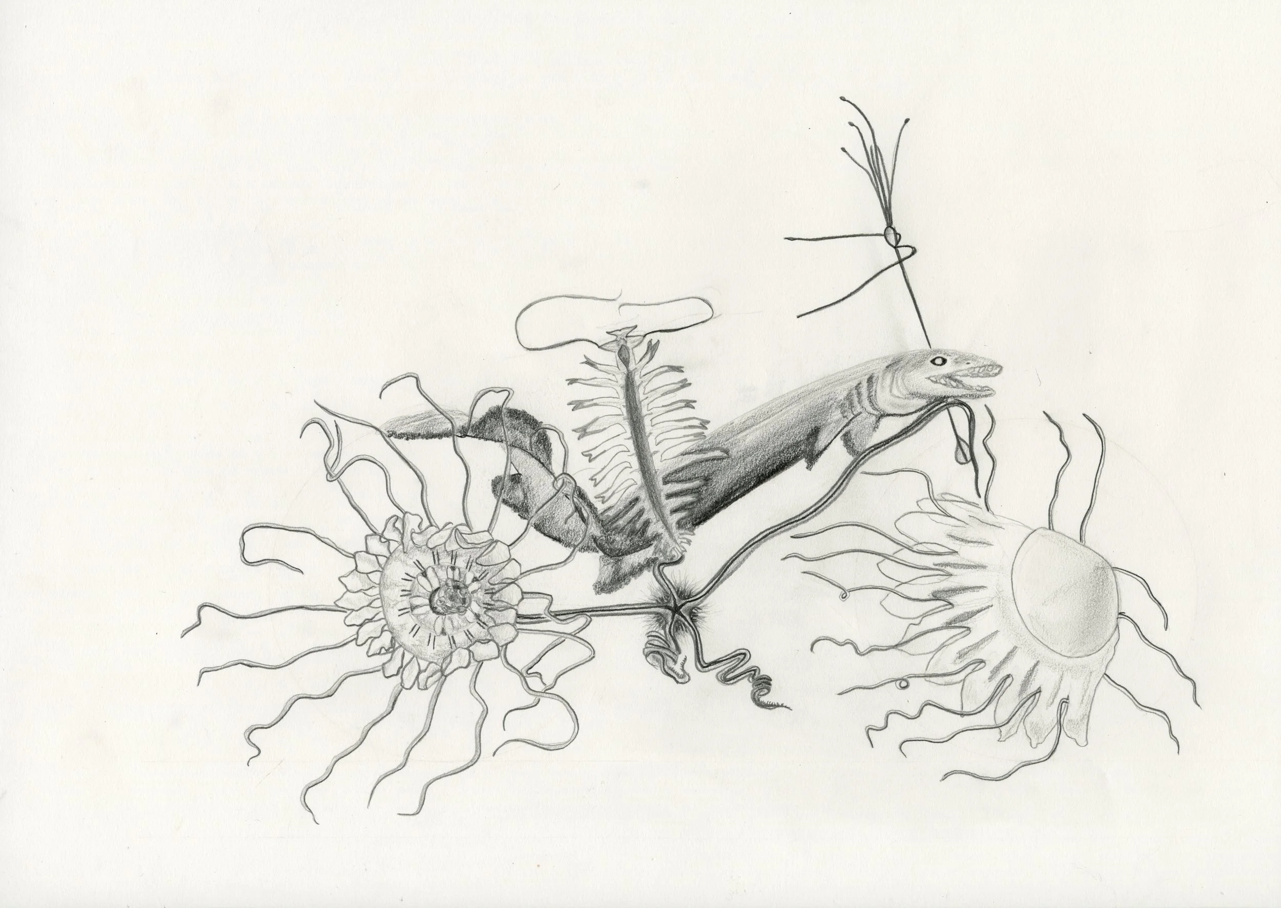 RISD application 005.jpg