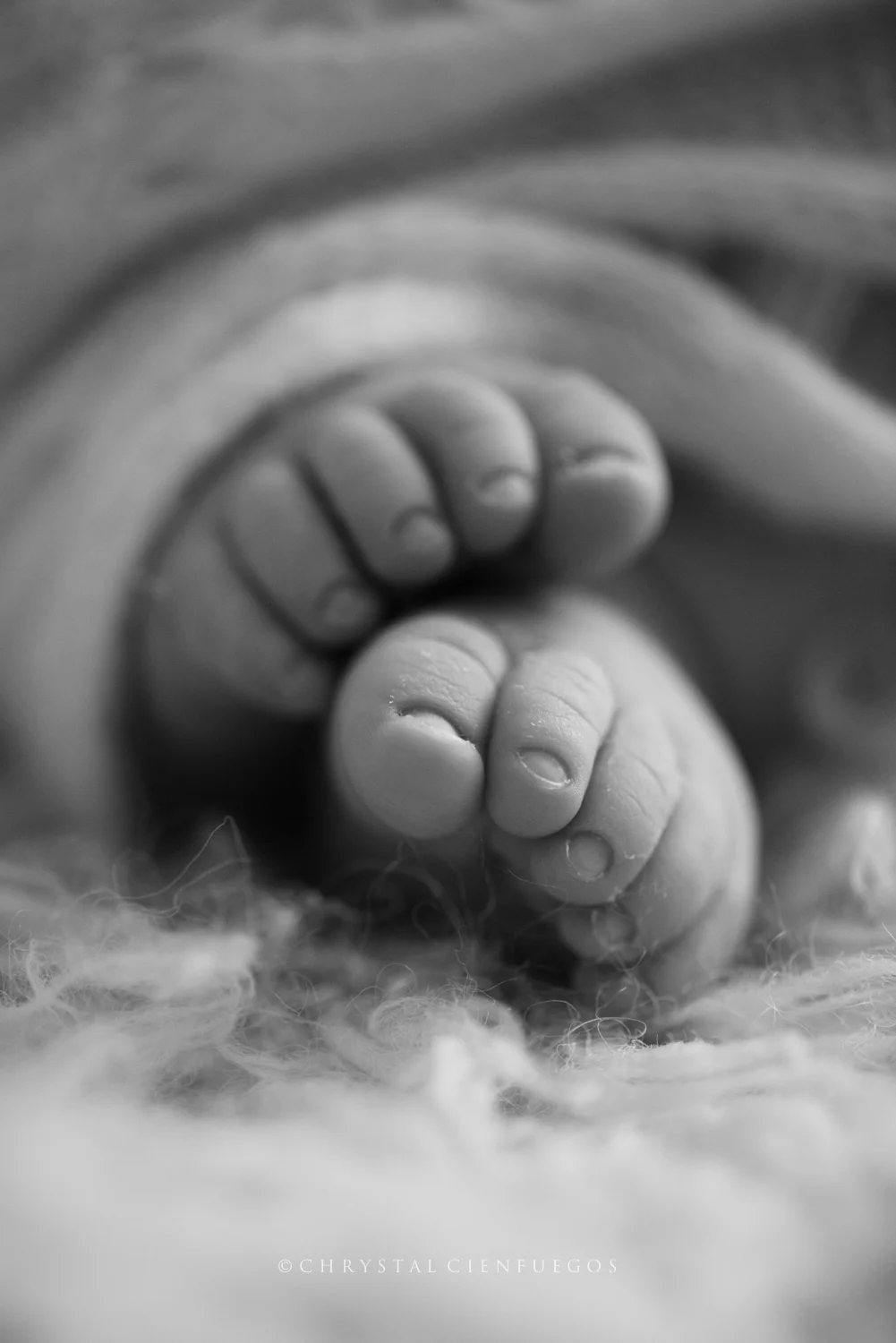 san_diego_newborn_chrystal_cienfuegos-31.jpg