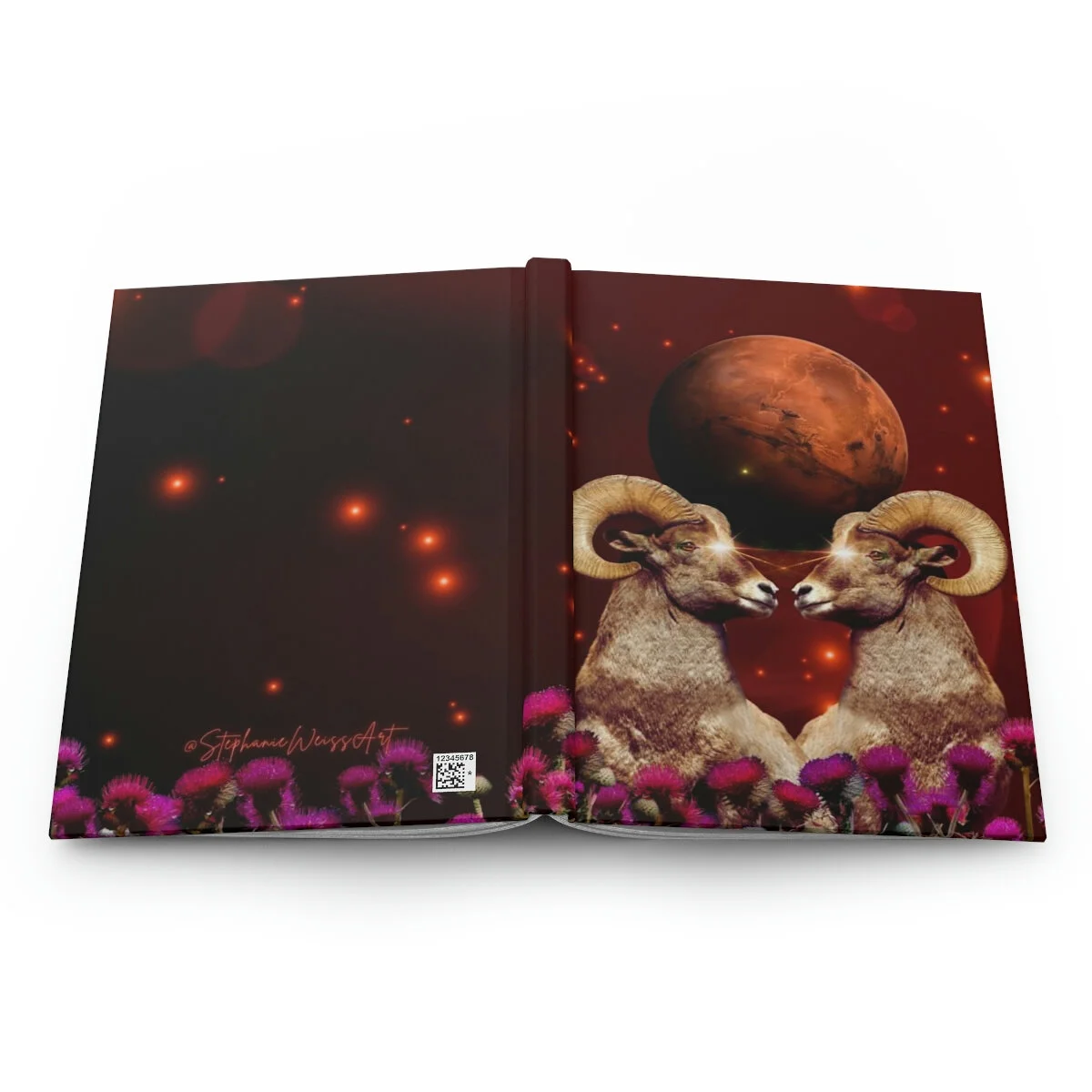 d181f96aa7413b43f23707cd2c34c0b4