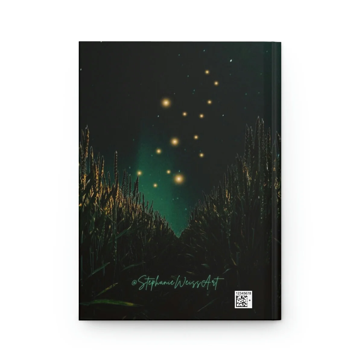 114ddae2b44fdae74e24d855faaaf208