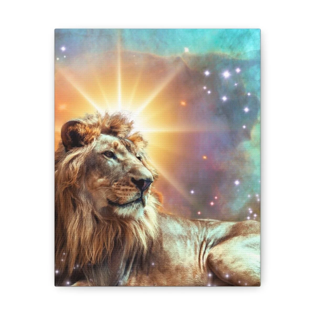 bbac1ae335d81328cb92e16fa500a0b8