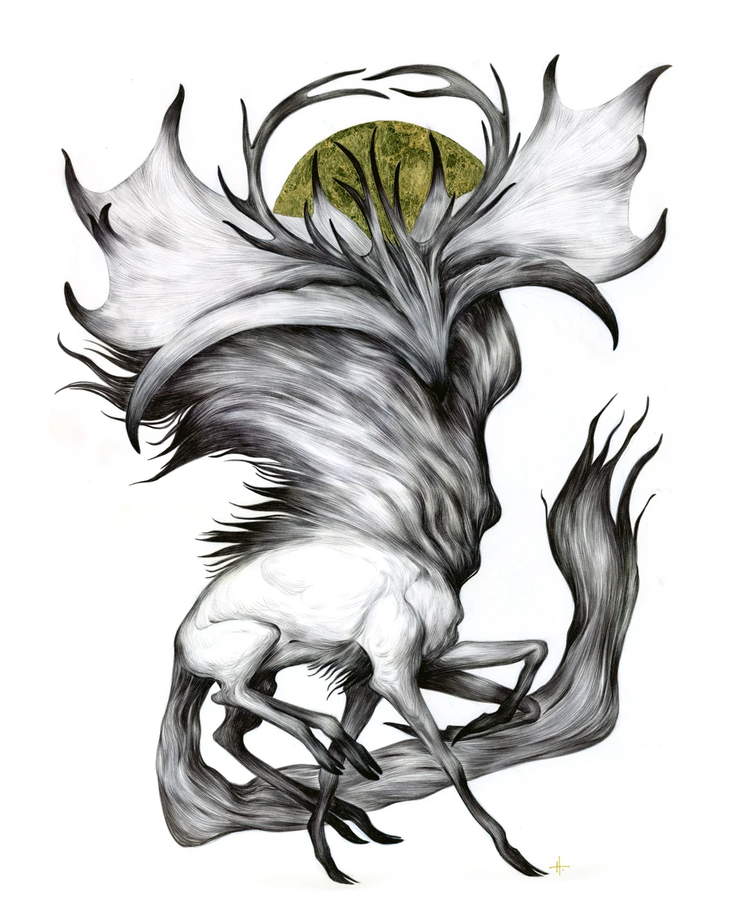 A Forest's Grace