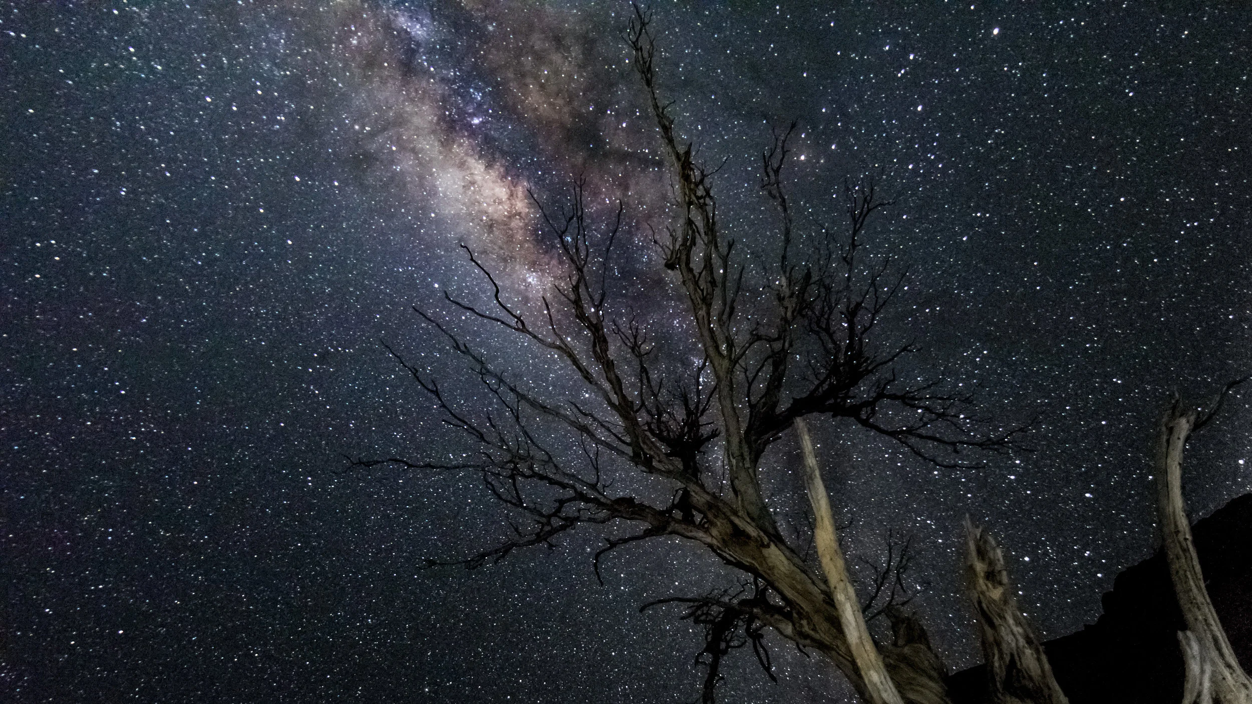20150709_Namibia_2041-1-4.jpg