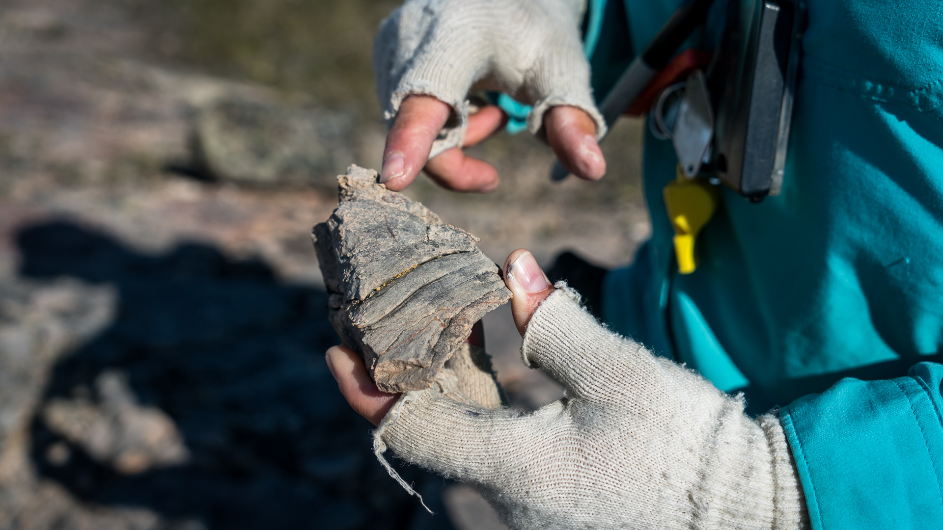 Rocks contain layers that contain evidence of ancient microbial life (Credit: Vivien Cumming)