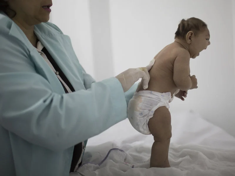 Brazilian Doctor Crafts System Hailed As 'Way Forward' For Combating Zika