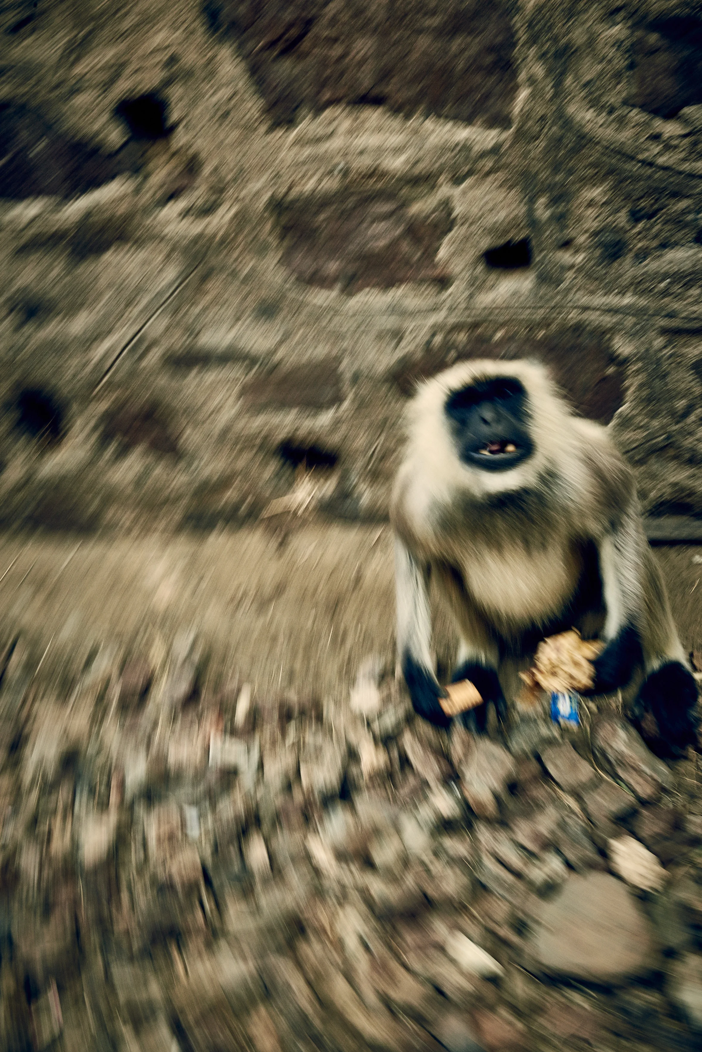 16_03_20_IND_Jojawar_0148.jpg