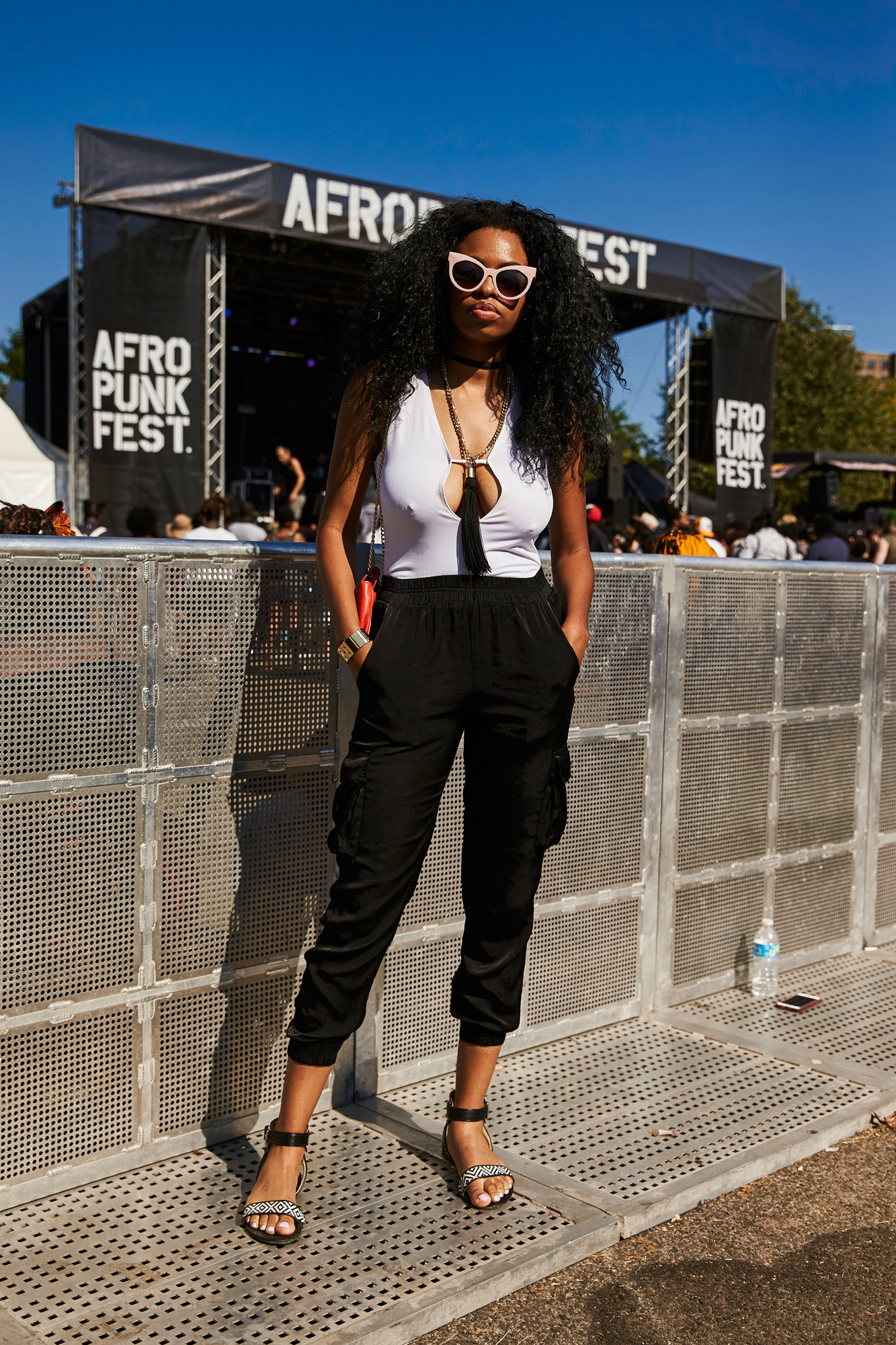 08282016_R29_AfroPunk_MI_F4Q00297.jpg