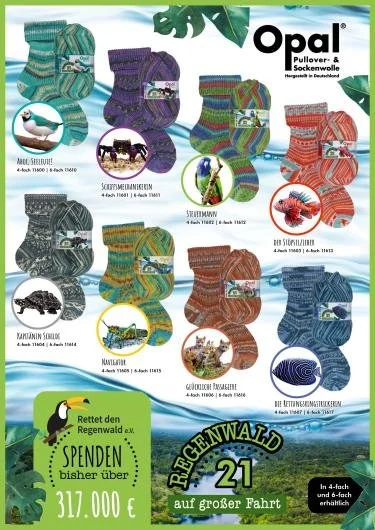 Rainforest21.jpg