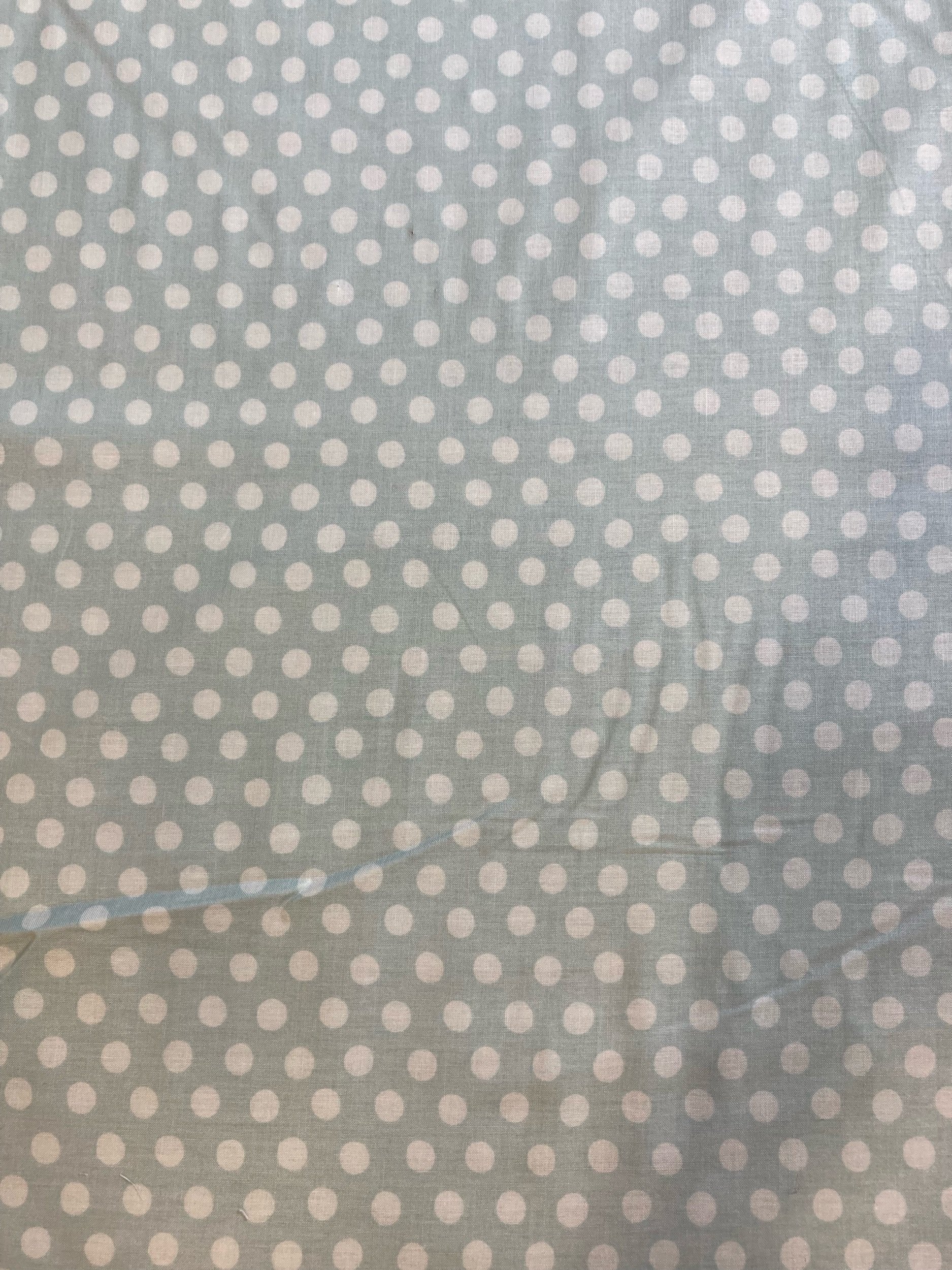 9AB47506-EE38-40E6-BA63-CBF87E49FA2B.jpeg