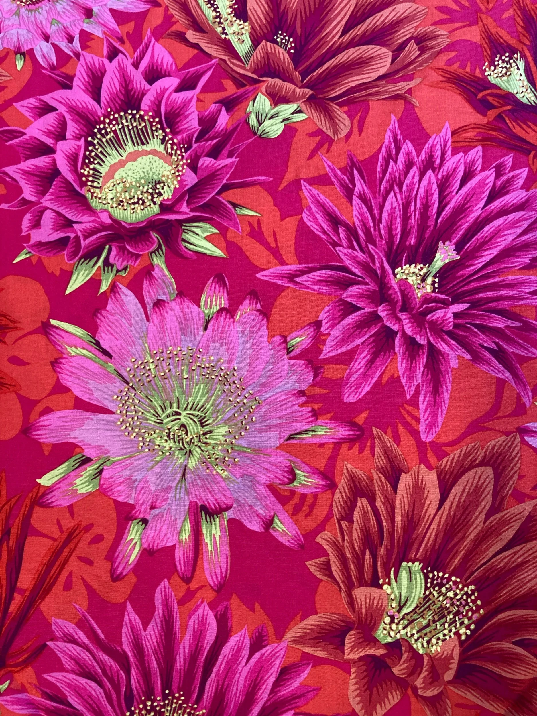 9204AA81-51CA-4F2C-90D5-2A75A5E620B8.jpeg