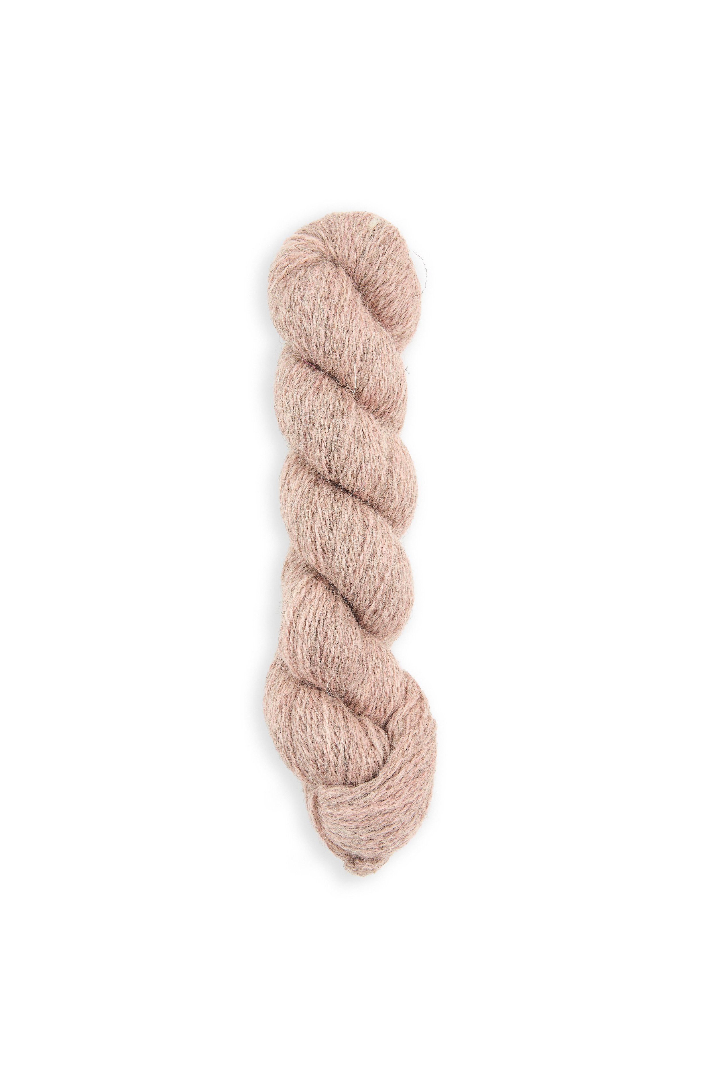 5061018319879_SHEEPSOFT_4PLY_KILNSEY.jpg