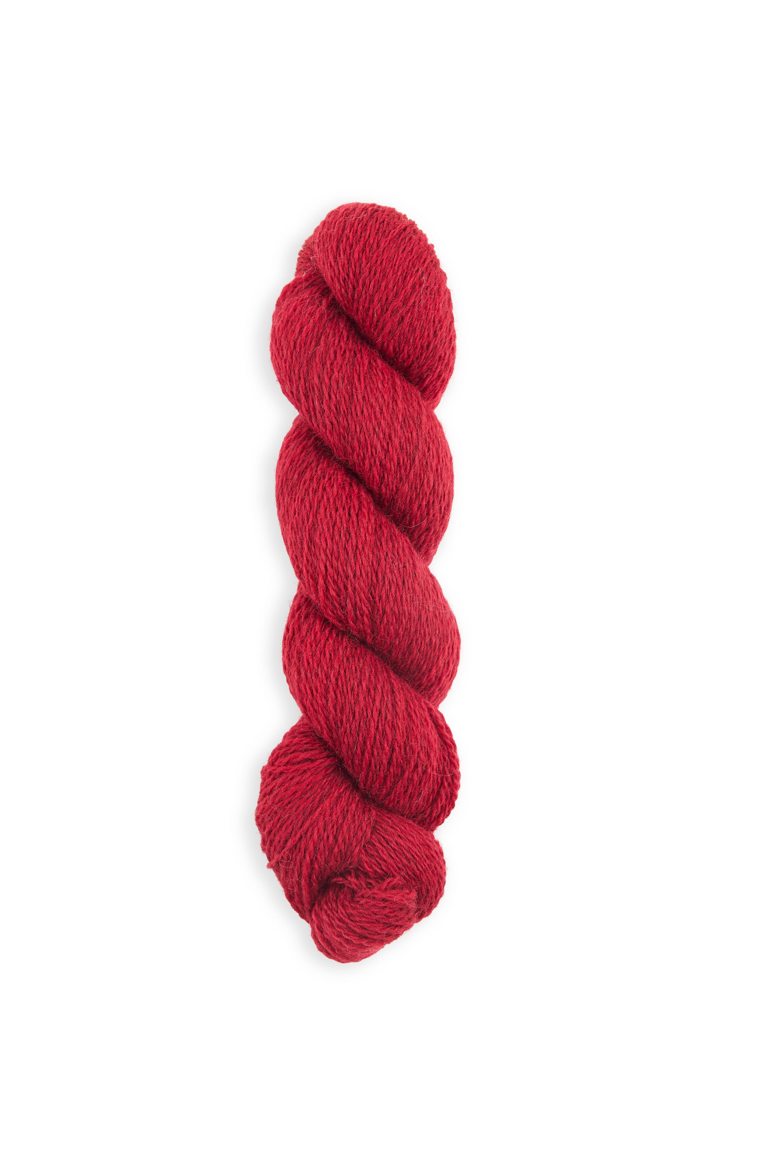 5061018310395_SHEEPSOFT_4PLY_INGLETON.jpg