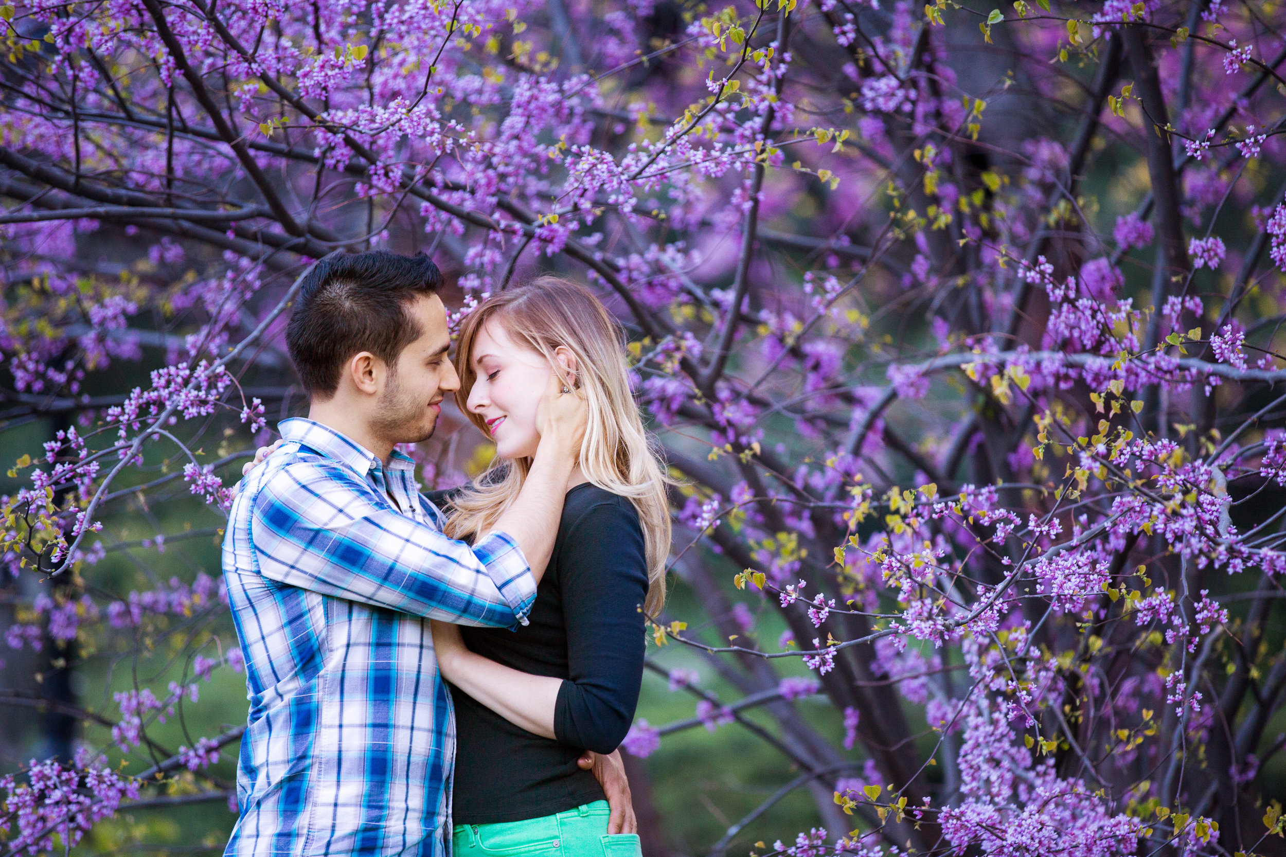 Central Park Engagement