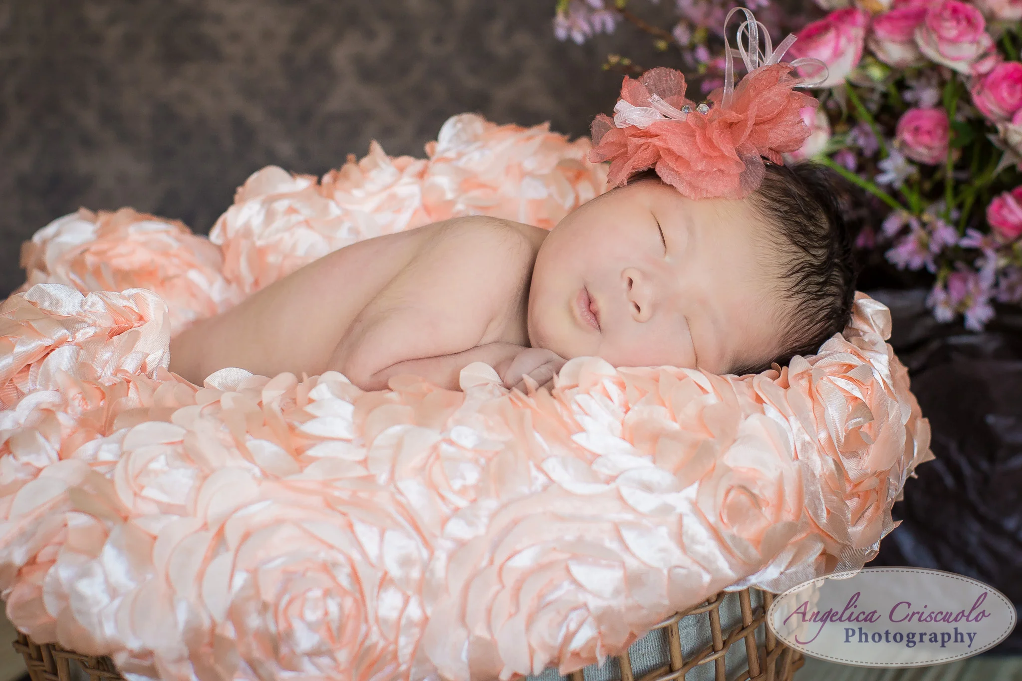 Ava's Newborn Photos | Newborn Photography Manhattan NYC