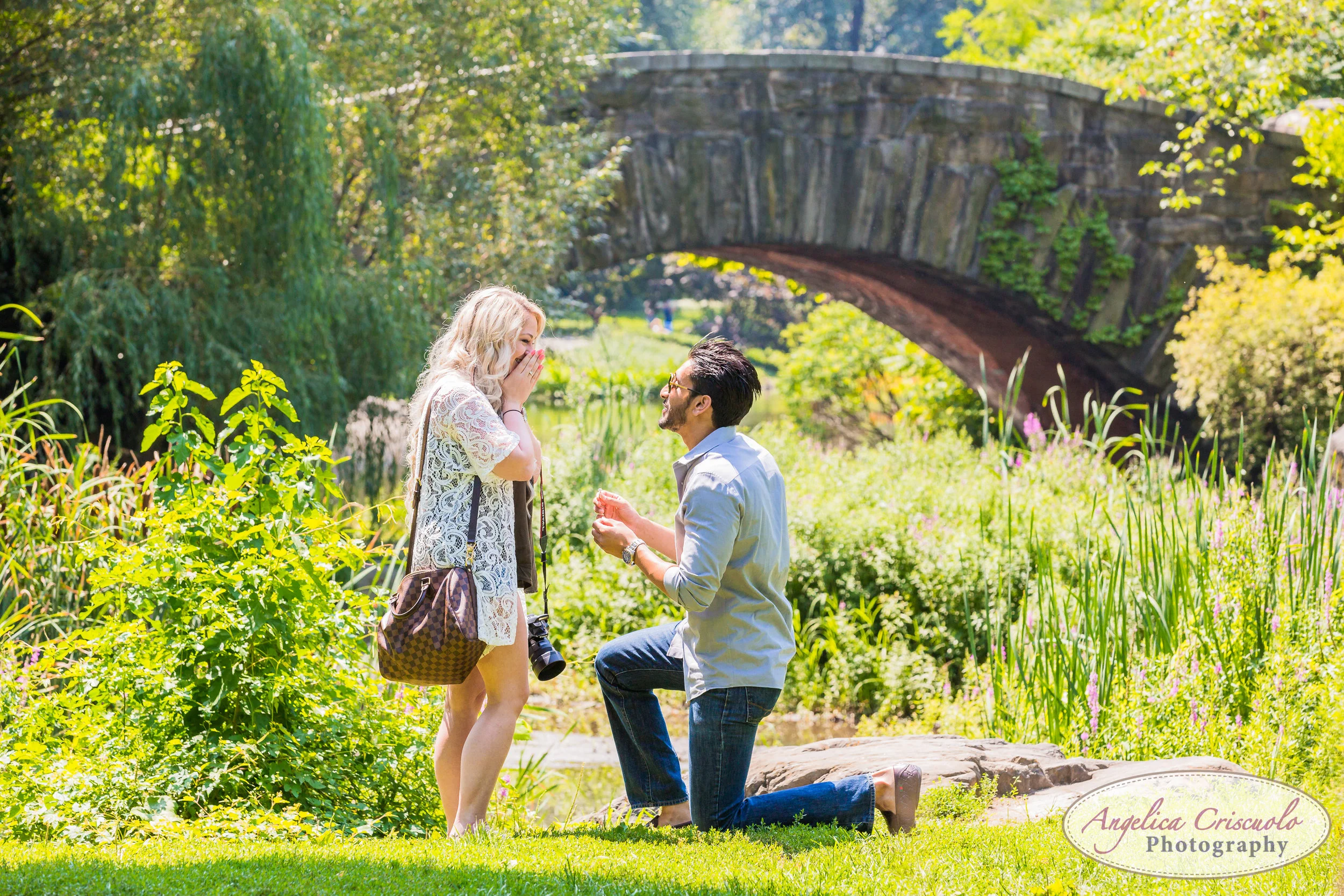 New York Surprise Proposal Ideas in Central Park - Kristin + Jeremy